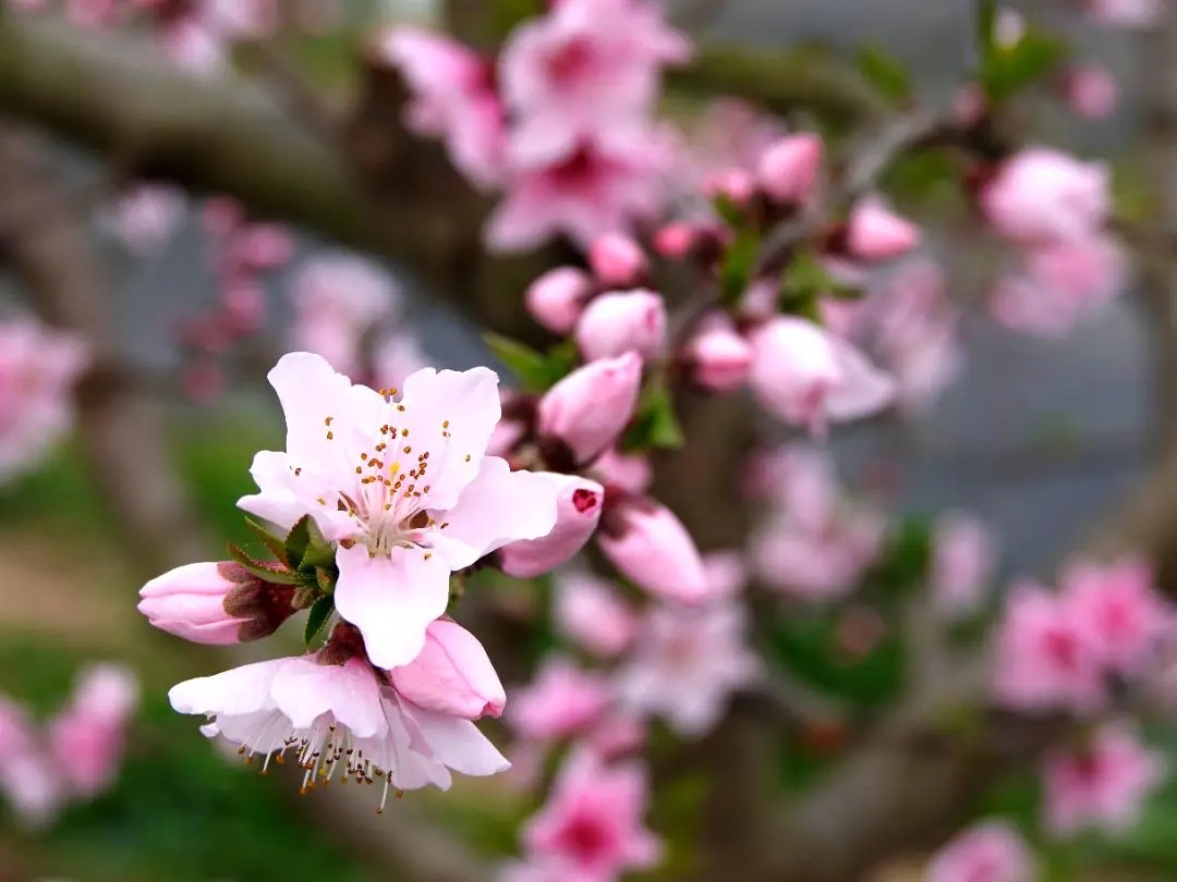 ̤������